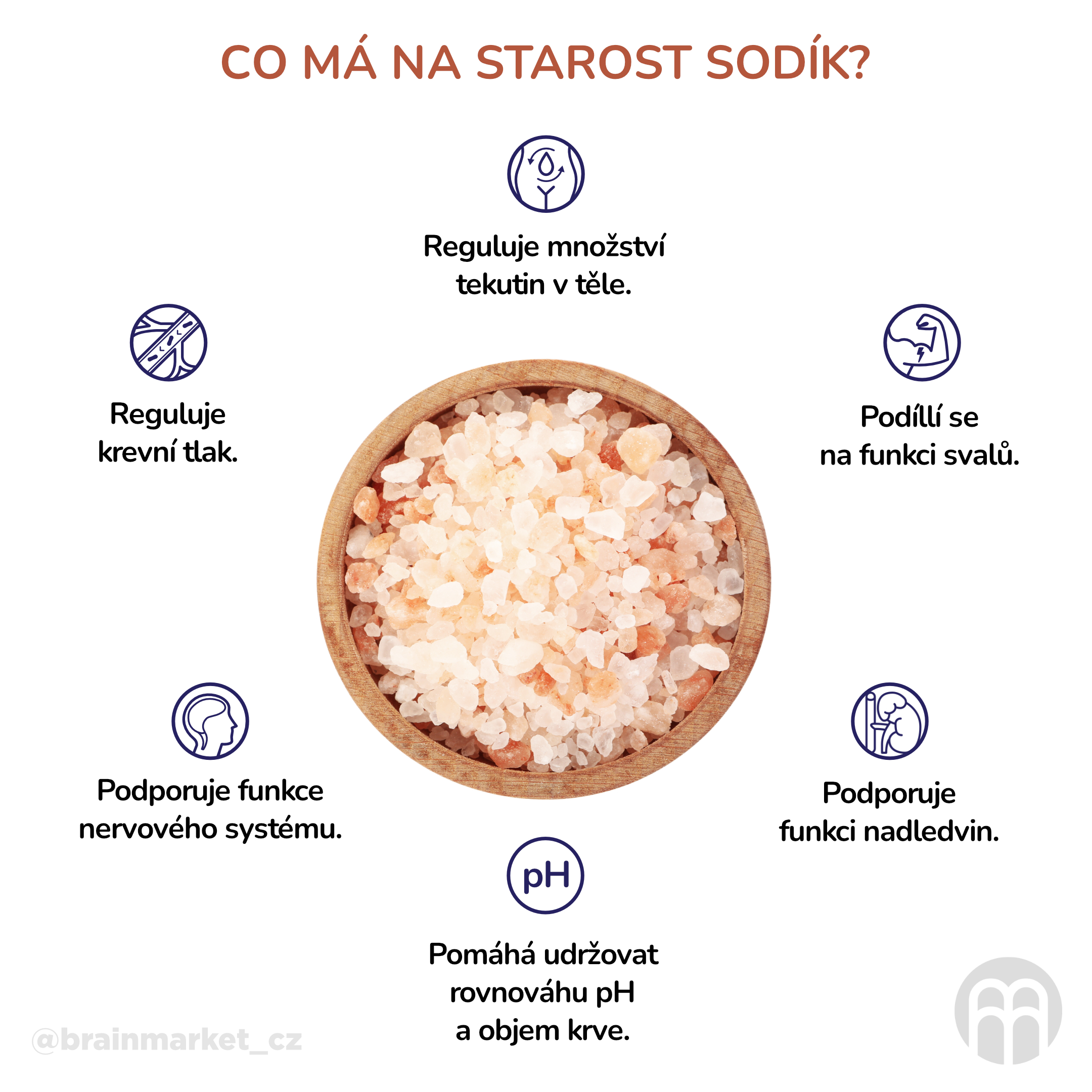 Co má na starost sodík__infografika_cz